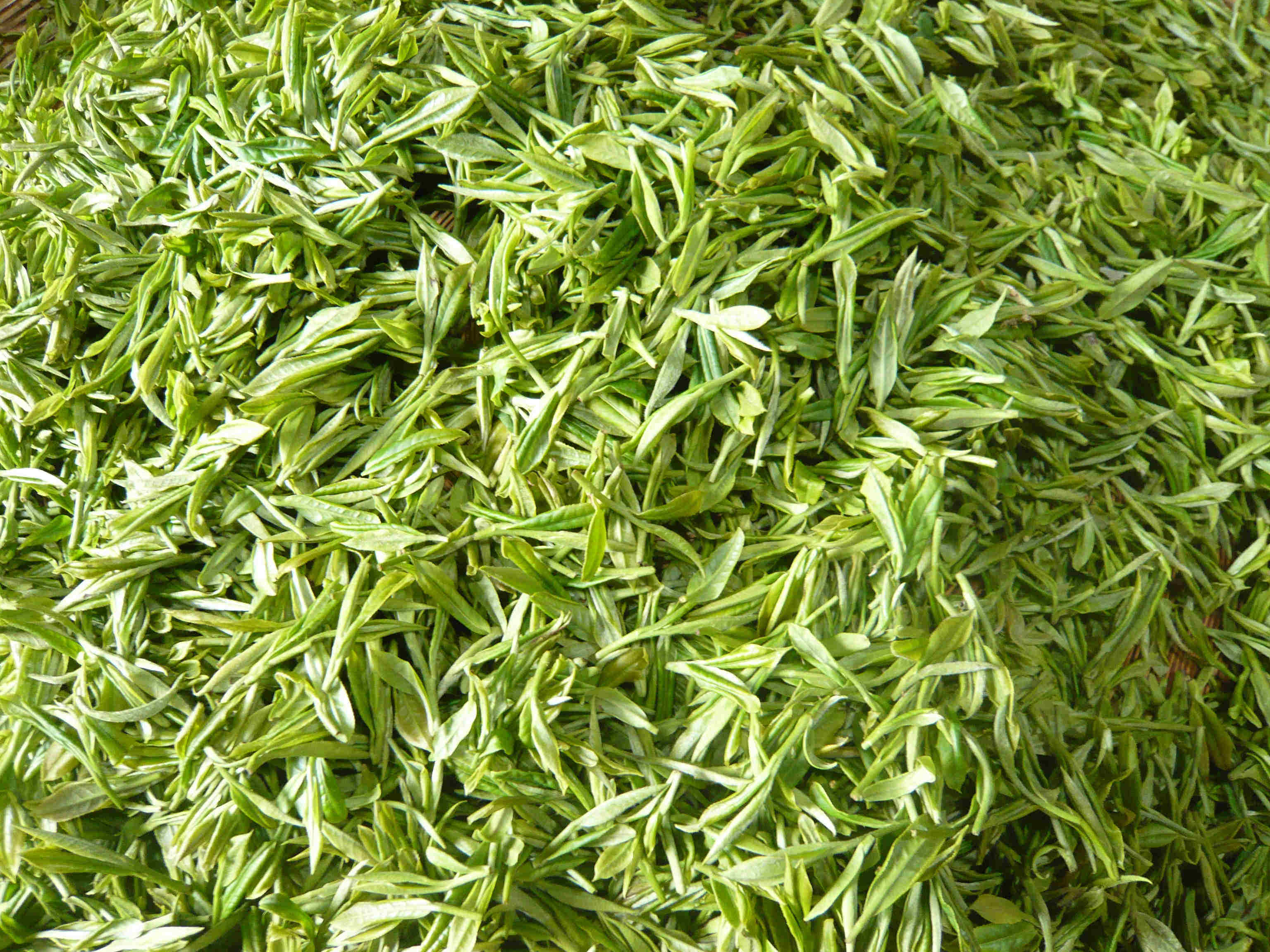 高山富硒公田茶(高山富硒茶功效)-硒宝网