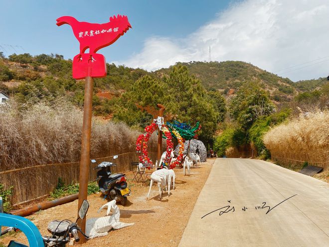 深山里富硒茶咖(深山咖啡)-硒宝网