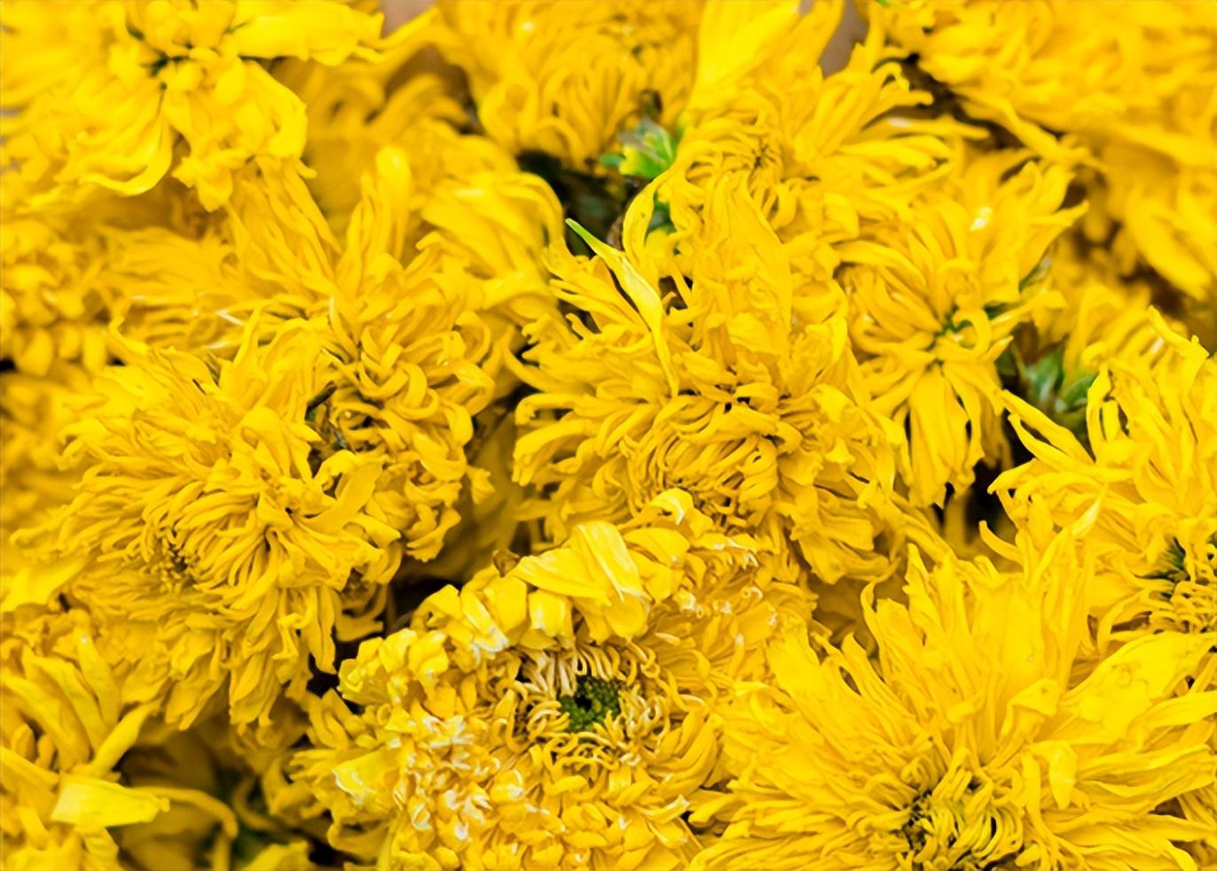 六堡富硒茶文案（富硒茶怎么发朋友圈）-硒宝网