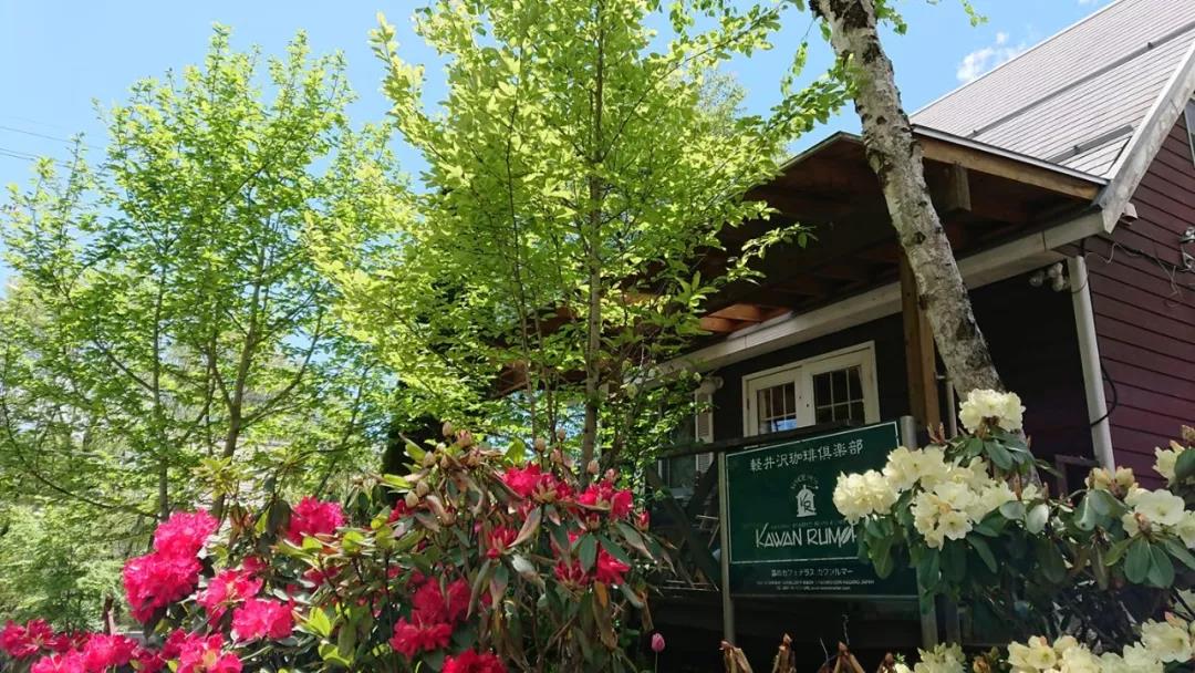 深山里富硒茶咖（富硒咖啡好吗）-硒宝网