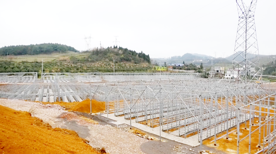 富硒茶开阳高寨(开阳富硒茶园)-硒宝网