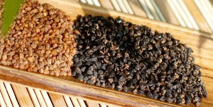 安康富硒荞子茶(安康荞子是什么东西)-硒宝网