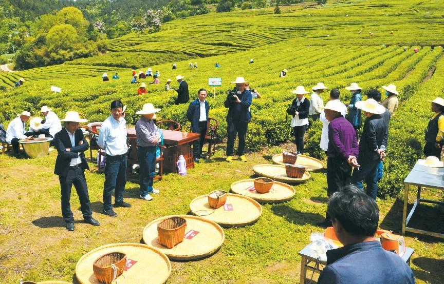 富硒红曲茶多钱(富硒红茶多少钱一盒)-硒宝网