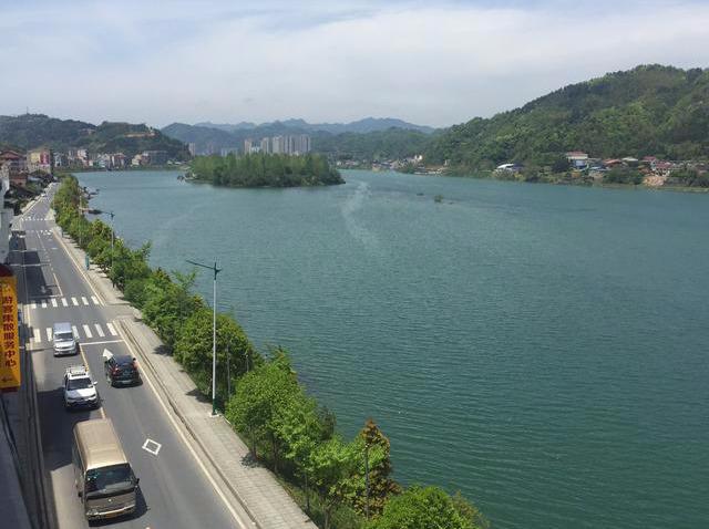 极叶富硒茶公司(富硒茶园)-硒宝网