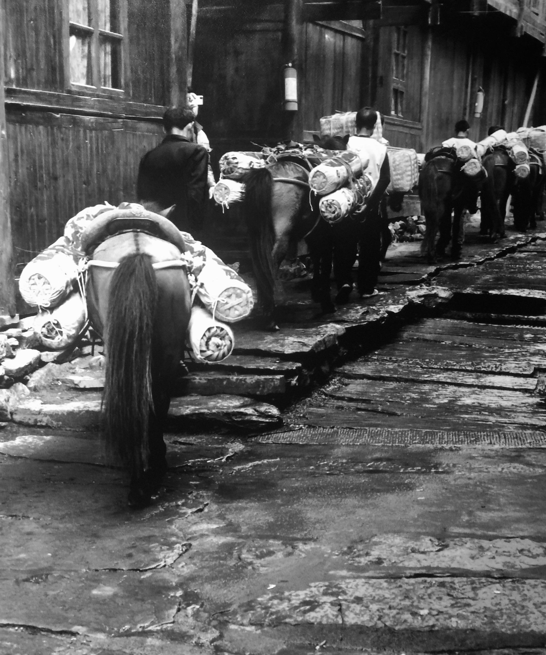 极叶富硒茶公司(富硒茶园)-硒宝网