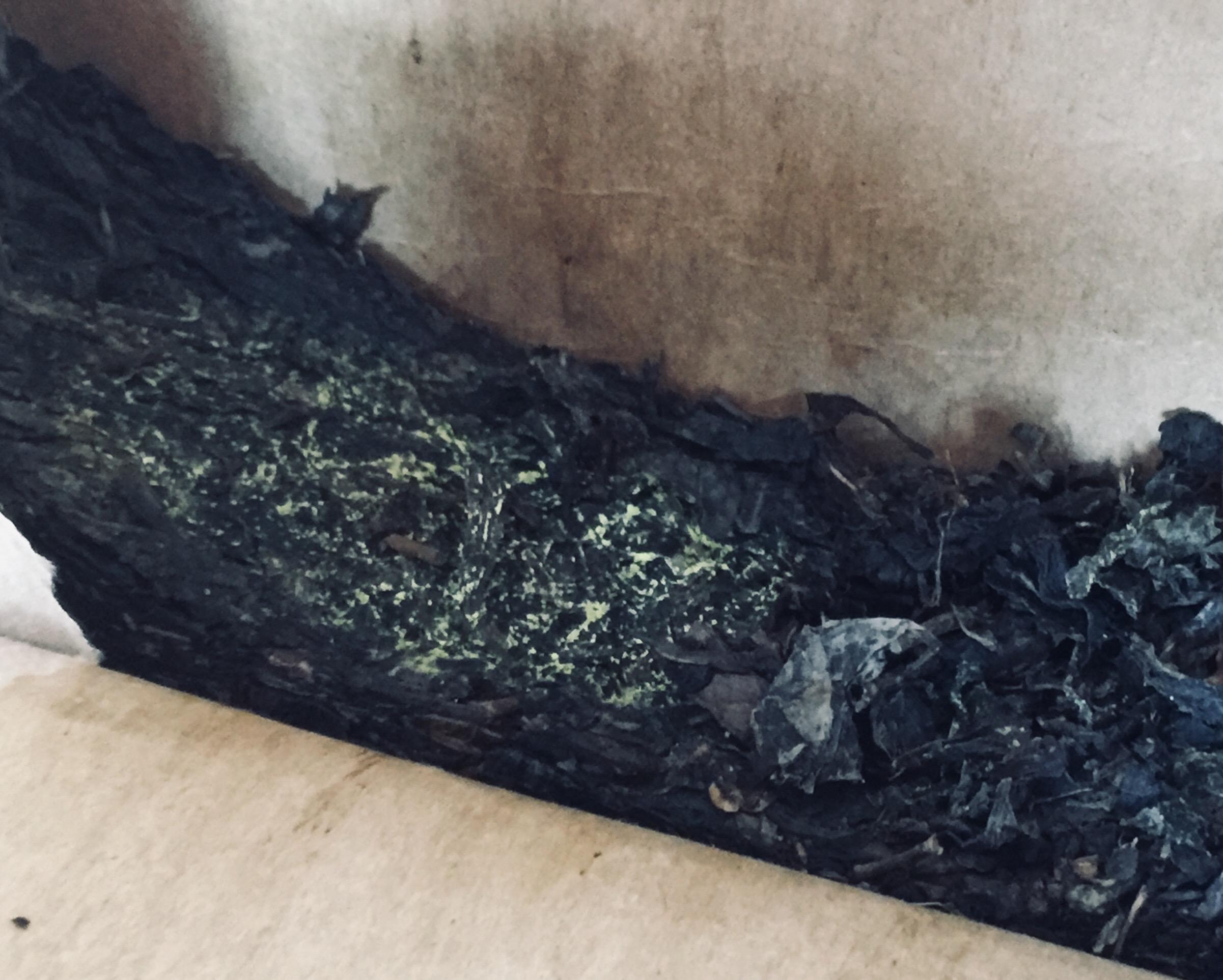 极叶富硒茶公司(富硒茶园)-硒宝网