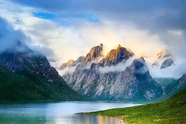 澳门富硒生茶饼（福建富硒茶）-硒宝网