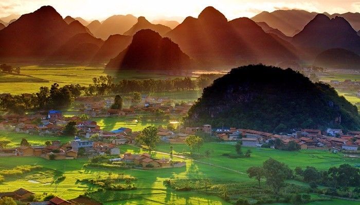 澳门富硒生茶饼（福建富硒茶）-硒宝网