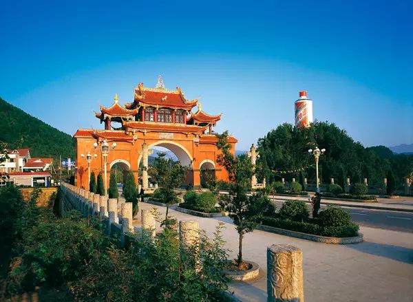 澳门富硒生茶饼（福建富硒茶）-硒宝网