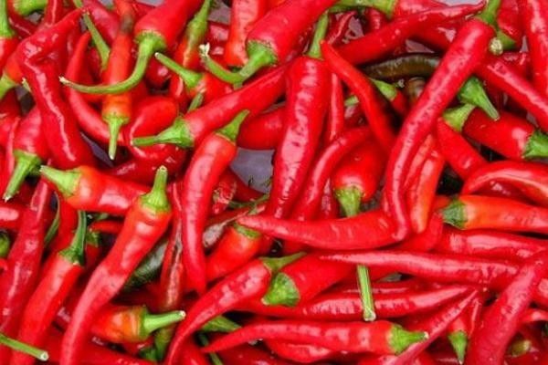 澳门富硒生茶饼（福建富硒茶）-硒宝网