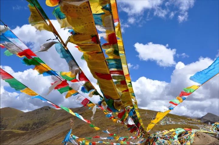 澳门富硒生茶饼（福建富硒茶）-硒宝网