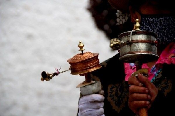 澳门富硒生茶饼（福建富硒茶）-硒宝网