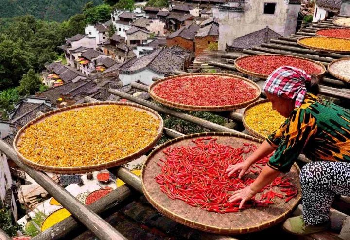 澳门富硒生茶饼（福建富硒茶）-硒宝网