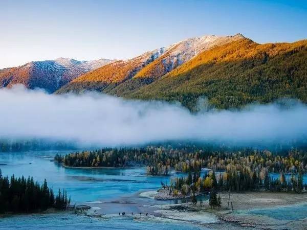 澳门富硒生茶饼（福建富硒茶）-硒宝网