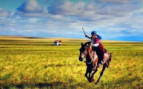 澳门富硒生茶饼（福建富硒茶）-硒宝网