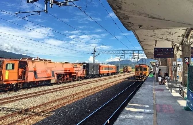 澳门富硒生茶饼（福建富硒茶）-硒宝网