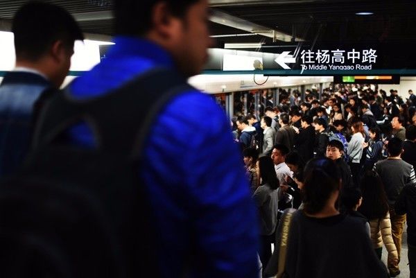 澳门富硒生茶饼（福建富硒茶）-硒宝网
