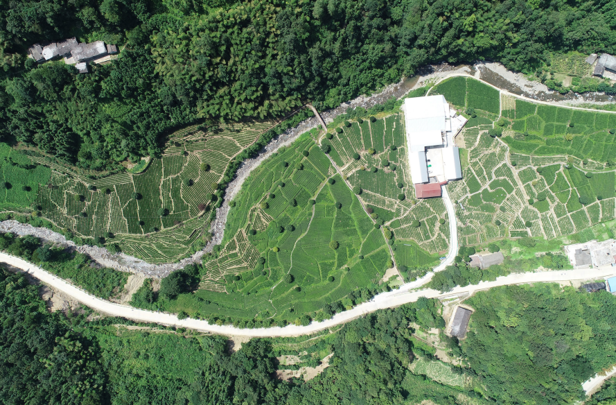 蒿坪富硒茶直播(富硒茶庄)-硒宝网