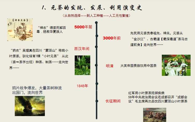 胃病能喝富硒茶（胃不好可以喝富硒茶吗）-硒宝网