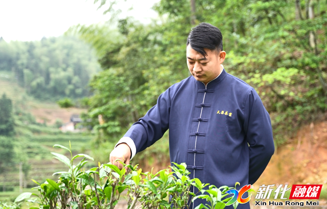 夷陵高山富硒茶（高山硒茶有什么作用）-硒宝网