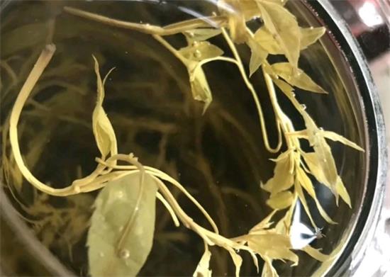 富硒藤茶怎么喝(喝富硒藤茶有什么副作用)-硒宝网