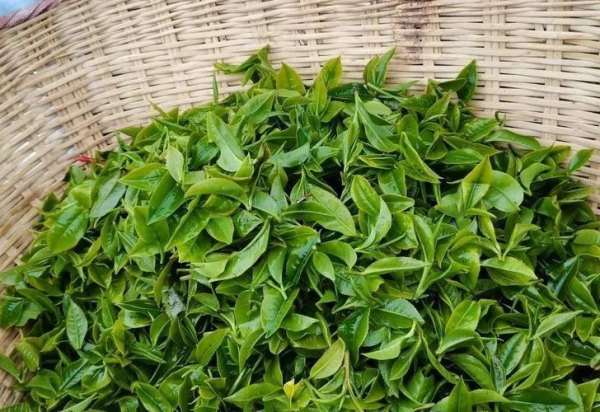 富硒紫米石斛茶（紫皮石斛调味茶）-硒宝网