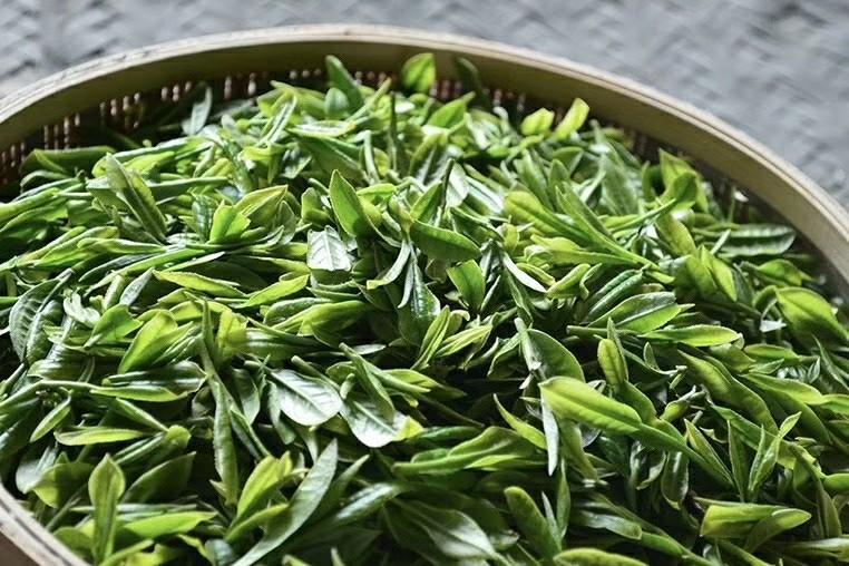 紫阳栗香富硒茶(紫阳茶富硒茶)-硒宝网