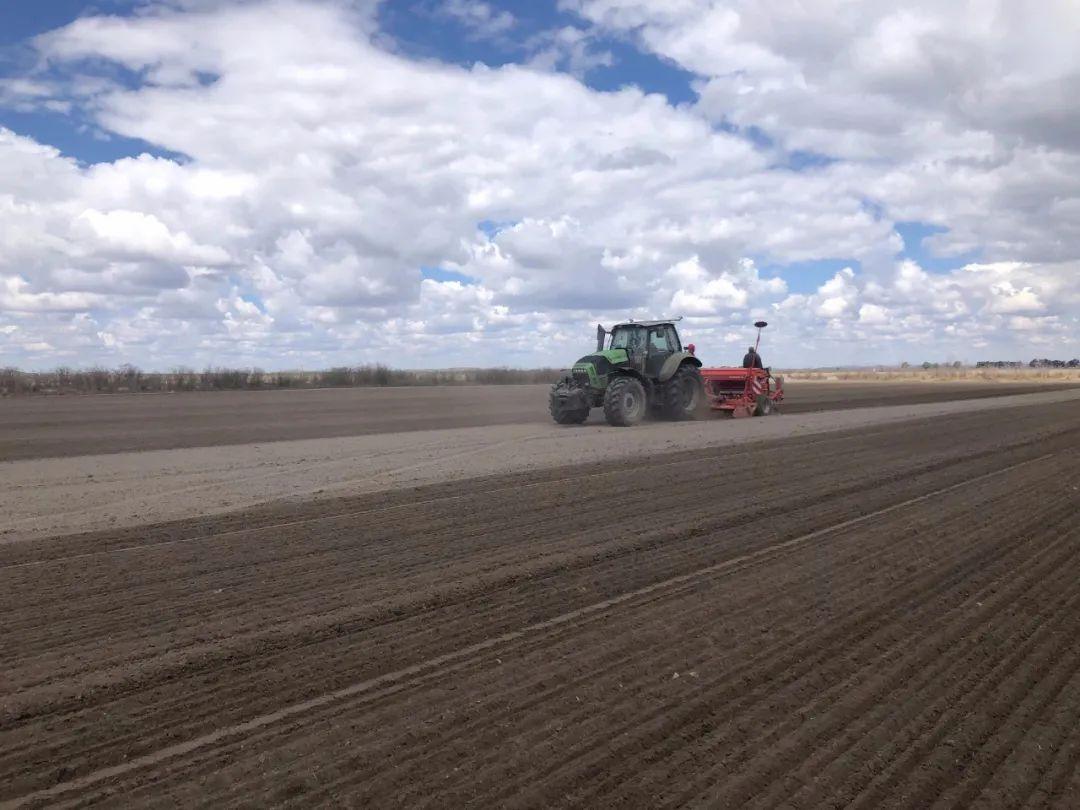 富硒茶扶贫众筹（茶扶贫项目名称）-硒宝网
