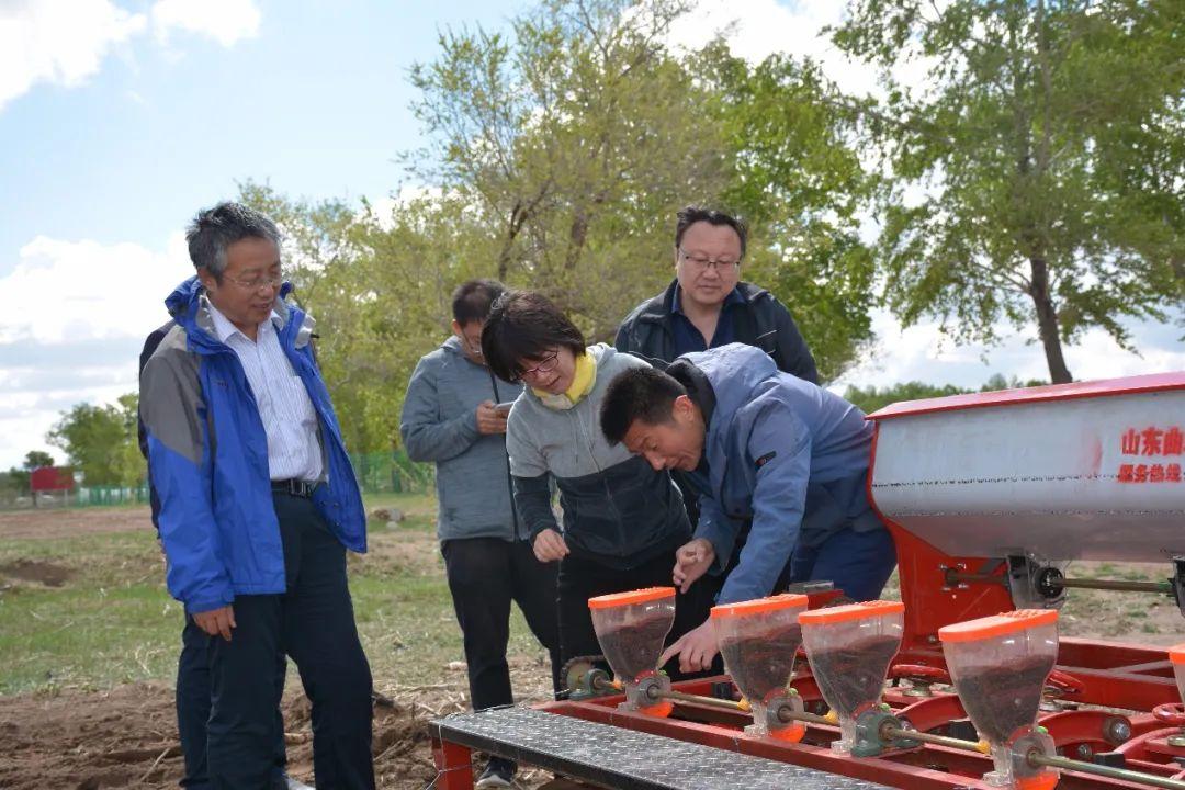 富硒茶扶贫众筹（茶扶贫项目名称）-硒宝网