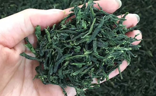 富硒瓜片是茶吗（茶富硒瓜片是什么做的）-硒宝网