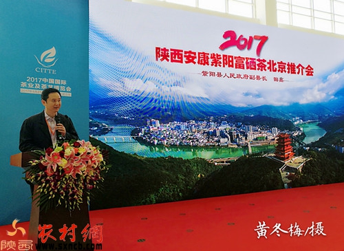 紫阳富硒茶大v(紫阳富硒茶叶)-硒宝网