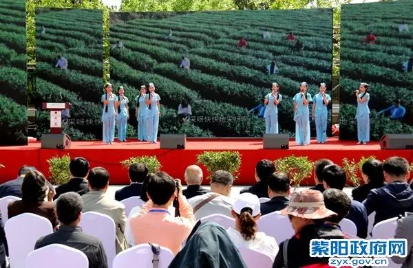 紫阳富硒茶大v（紫阳富硒茶厂）-硒宝网