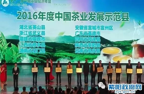 紫阳富硒茶大v（紫阳富硒茶厂）-硒宝网