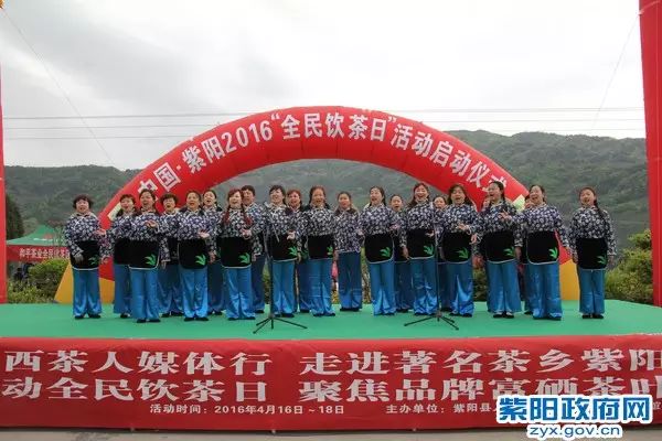 紫阳富硒茶大v（紫阳富硒茶厂）-硒宝网