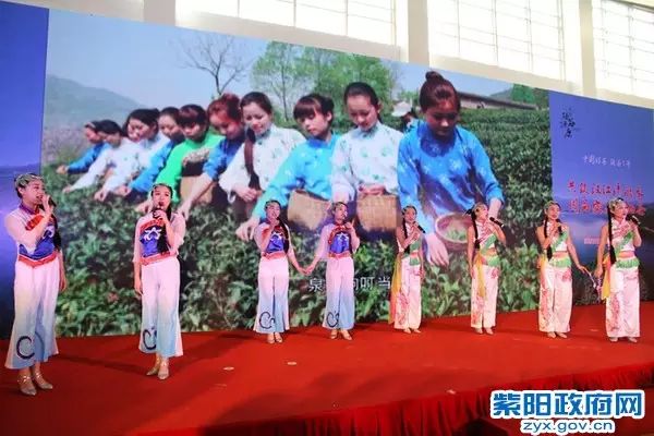 紫阳富硒茶大v（紫阳富硒茶厂）-硒宝网