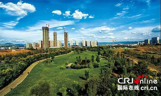 紫阳富硒茶很干(紫阳富硒茶好坏辨别)-硒宝网