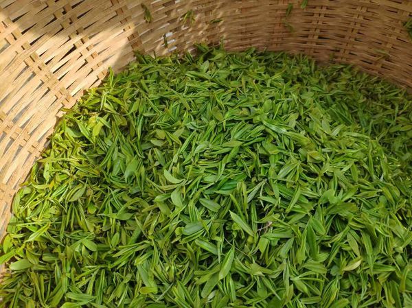 南龙富硒茶简介(富硒茶的介绍)-硒宝网