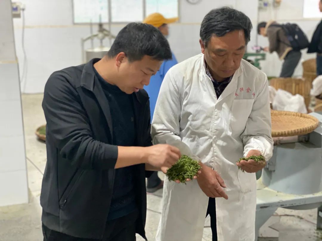 紫阳富硒茶中的(茶紫阳富硒中含有什么)-硒宝网