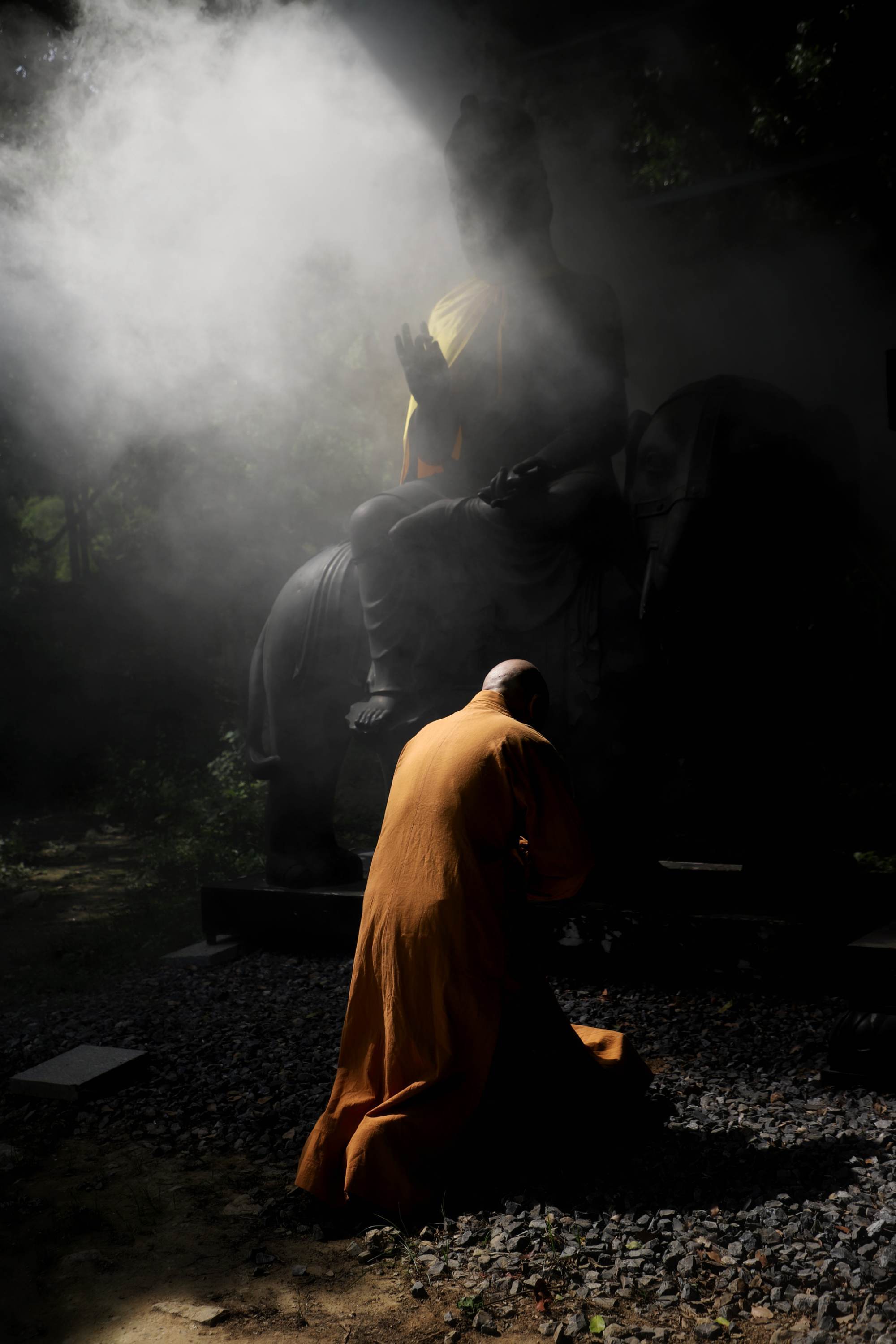 仙富山富硒野茶(富硒野茶是绿茶吗)-硒宝网