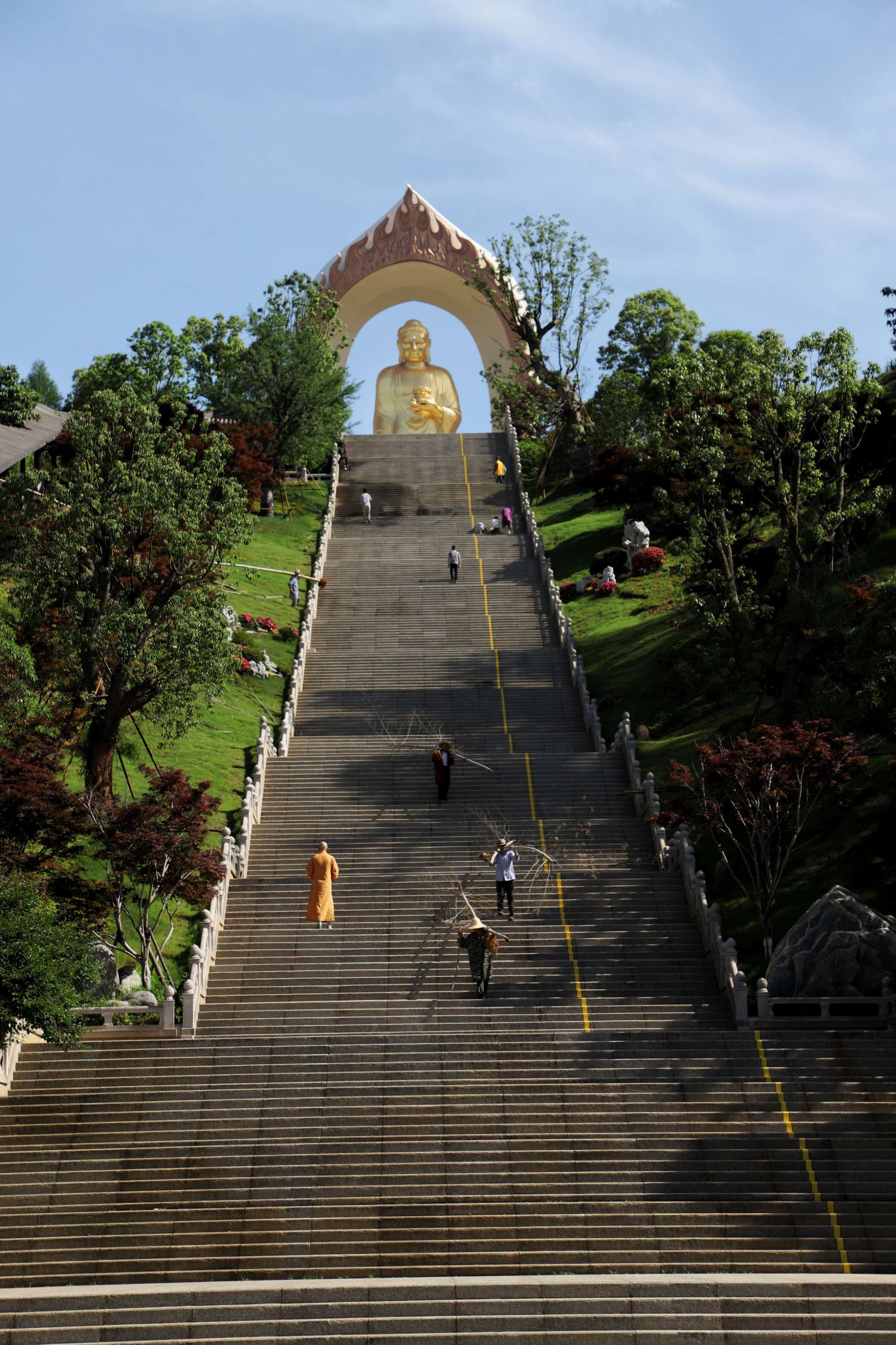 仙富山富硒野茶(富硒野茶是绿茶吗)-硒宝网