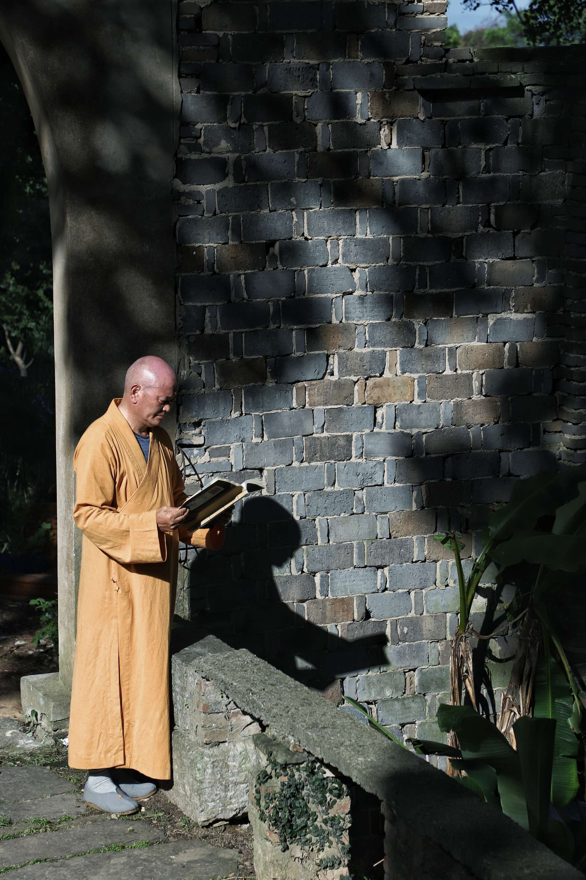 仙富山富硒野茶(富硒野茶是绿茶吗)-硒宝网
