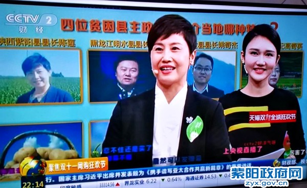 陈莲紫阳富硒茶(紫阳富硒茶多少钱一斤)-硒宝网