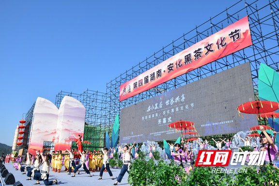 以茶会友富硒茶（富硒茶好喝吗）-硒宝网