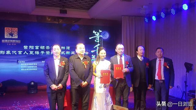 紫阳富硒茶中的(紫阳富硒茶多少钱一斤)-硒宝网