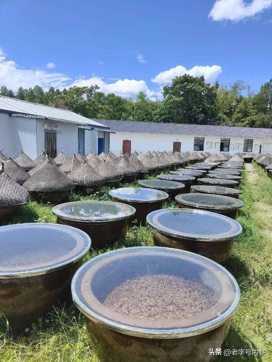 汕头富硒生茶饼（富硒茶园）-硒宝网