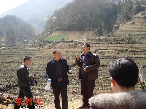 镇巴楮河富硒茶(富硒茶园)-硒宝网