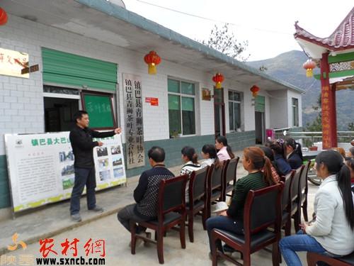 镇巴楮河富硒茶(富硒茶园)-硒宝网