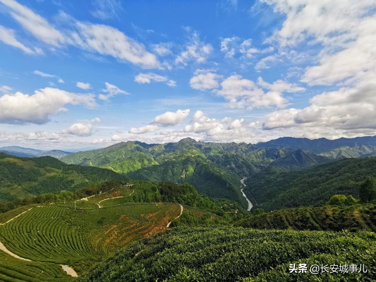 镇巴楮河富硒茶(富硒茶走廊)-硒宝网