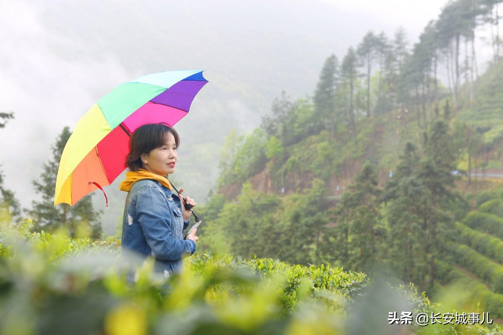 镇巴楮河富硒茶(富硒茶走廊)-硒宝网