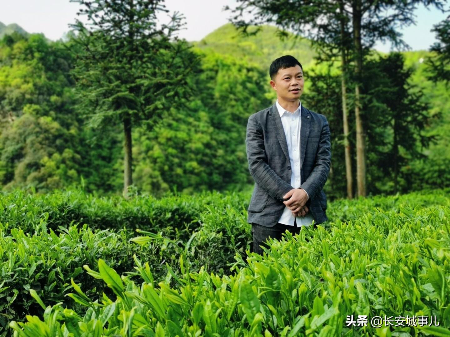 镇巴楮河富硒茶(富硒茶走廊)-硒宝网